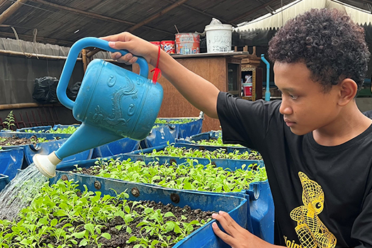 Makara watering veggie seedlings